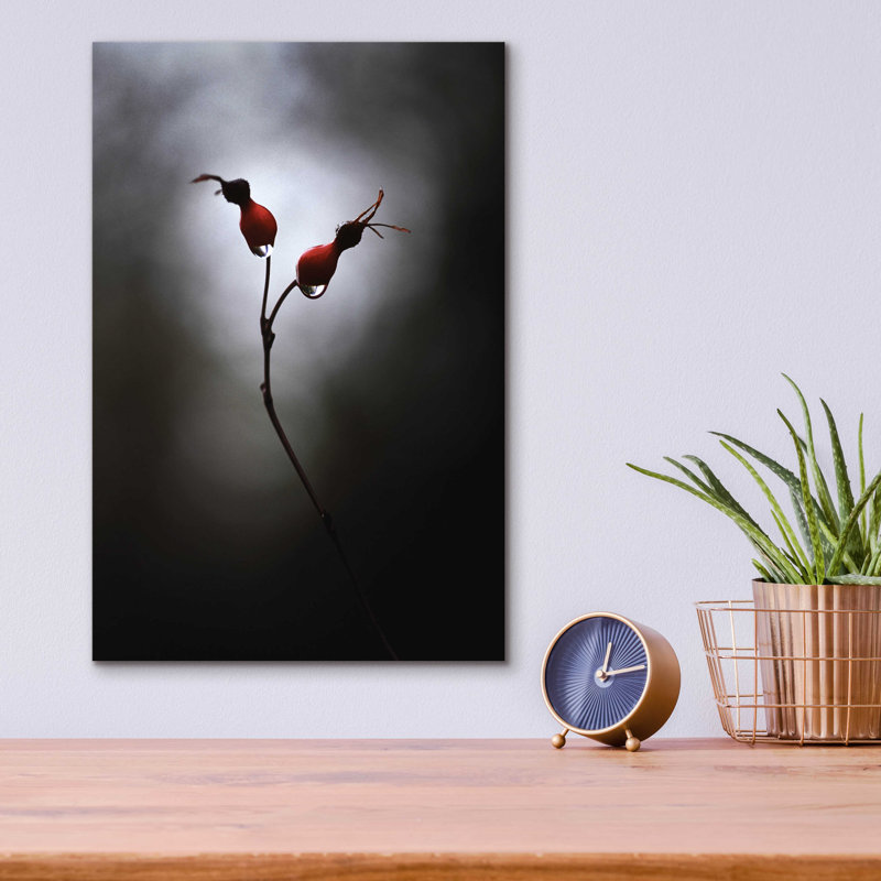 «Rose Hips» par Thomas Haney, H 16 po x l 12 po x P 0,13 po