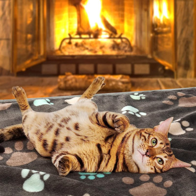 Animal Print Pet Blanket