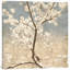 « cerise fleurs i »-impression sur toile tendue-1317230771