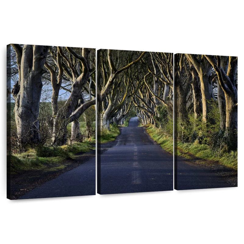 Sebbie The Dark Hedges, 36" H x 57" W