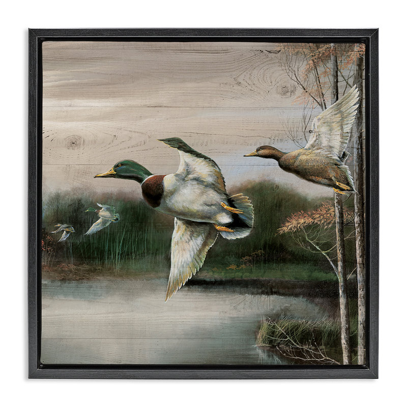 Flying Ducks dans un cadre flottant de nature rustique, design par Ruane Manning, Cadre flottant noir de jais