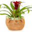 Advitha Handmade Pot Planter