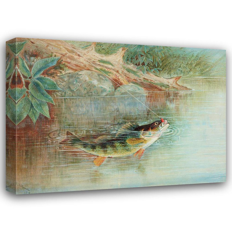 «Loon Peak® Kilbourne, Samuel», reproduction d'art sur toile tendue: Yellow Perch, H 36 po x l 47 po