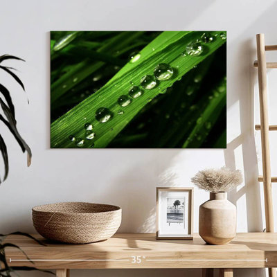 Gouttes d'eau Harnek sur feuille