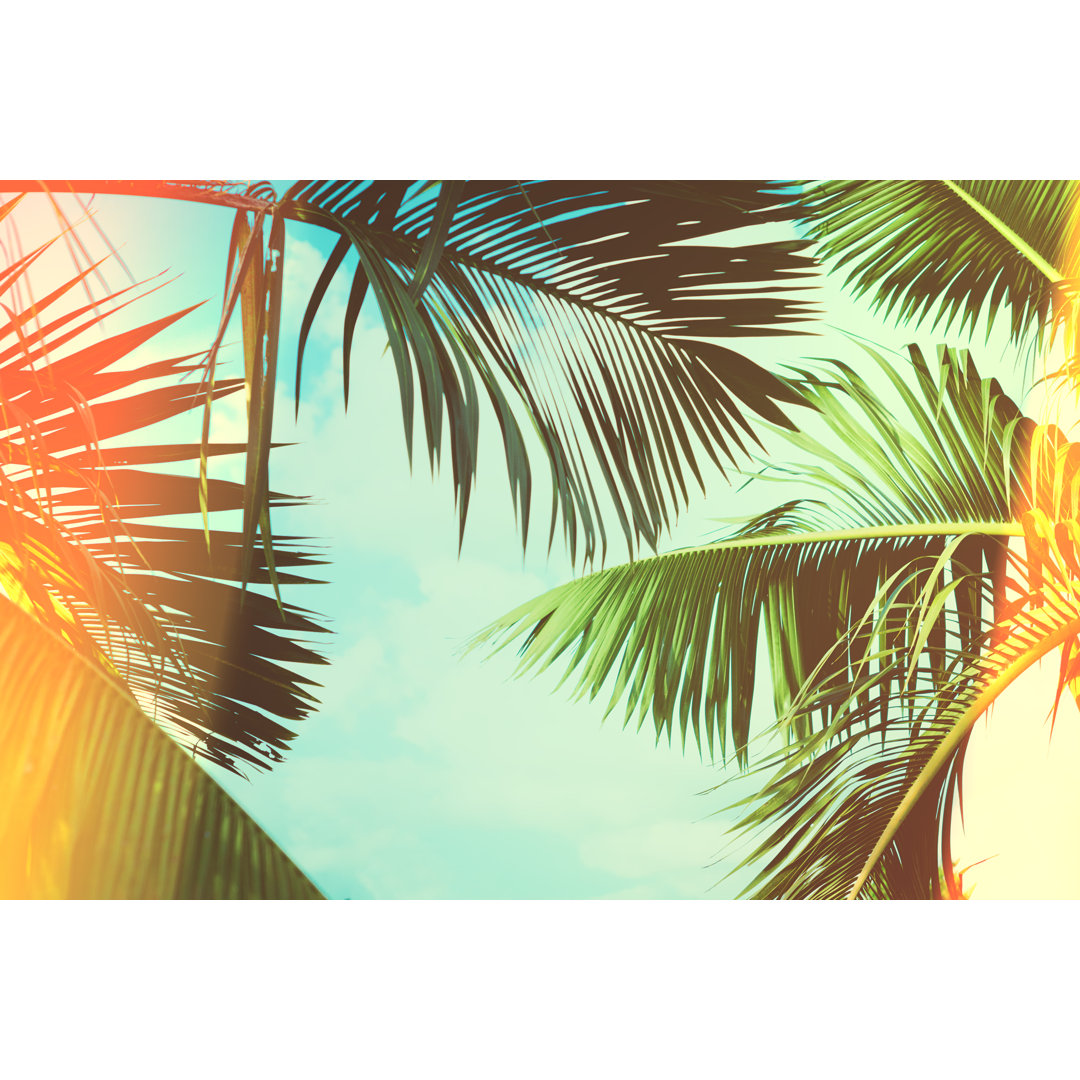 Leinwandbild Coconut Palm Tree von Sk901