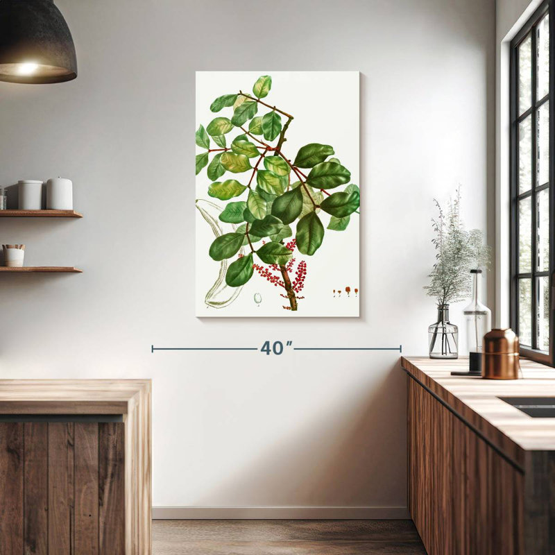 Keiri Carob Tree, 39" H x 26" W