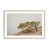 Raw Maple Single Picture Framed is unavailable