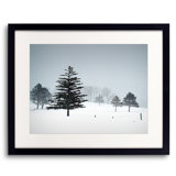 Valentines Day Snow Print by Tom Kostes