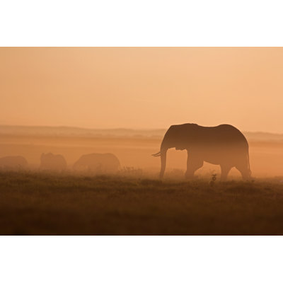 Elephants At Dawn - Wrapped Canvas Print