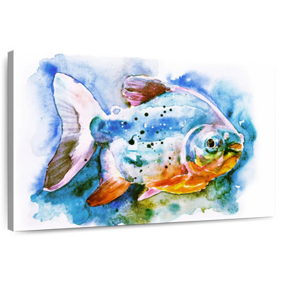 Piranha Fish