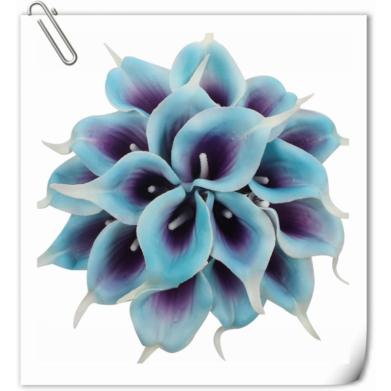 20 pièces de fleurs de lys Calla, Mauve bleu
