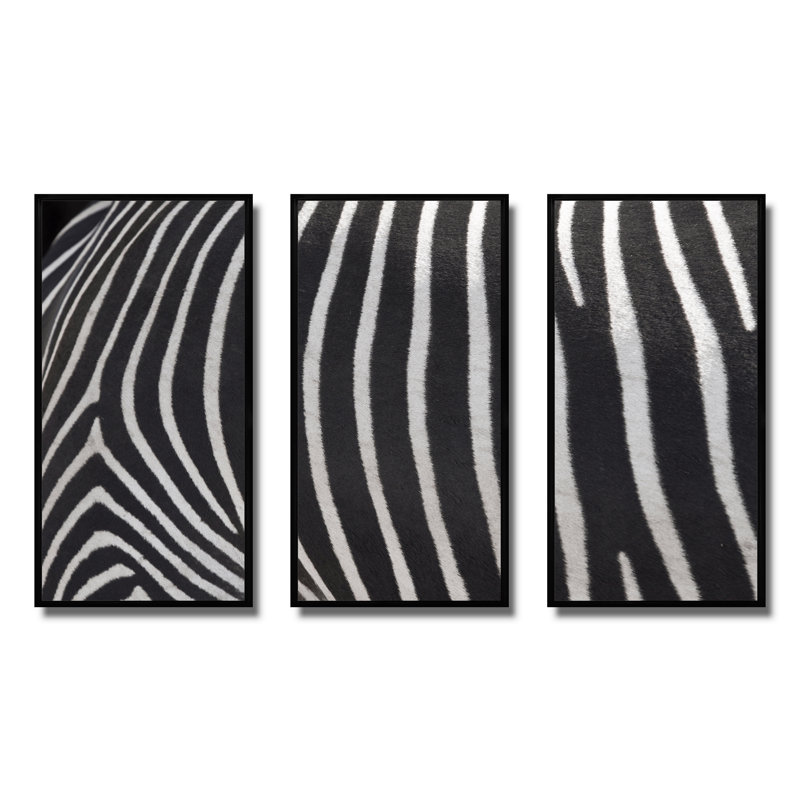 Détail de lignes de zèbre noires et blanches IV - ensemble transitionnel d'art mural sur toile encadré de 3