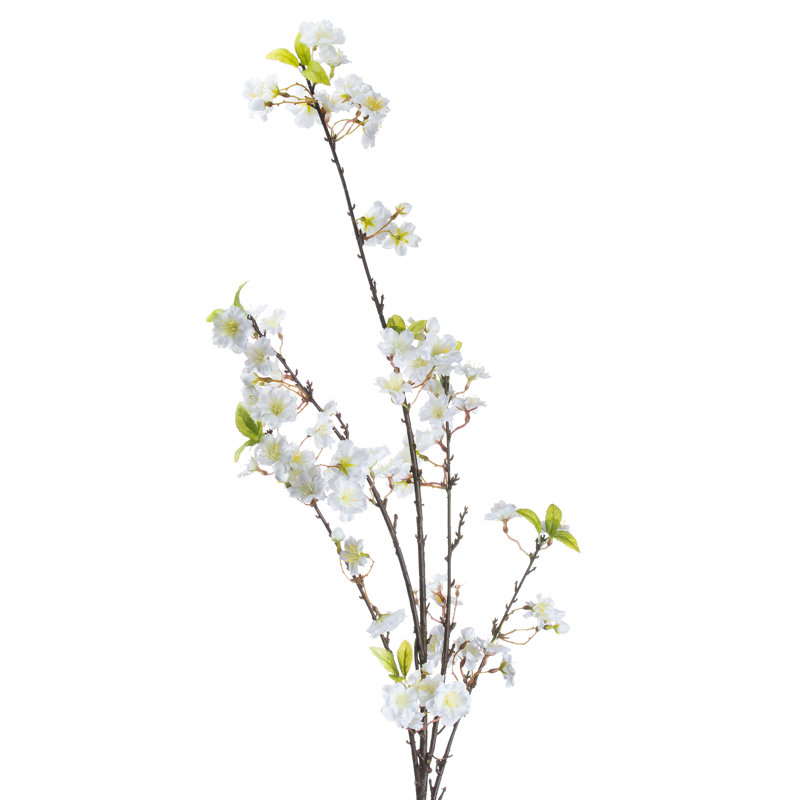 Arrangement