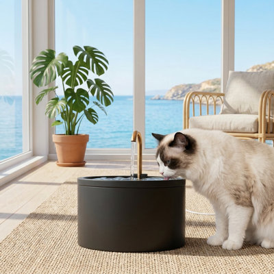 Fontaine à chat en céramique, automatique 71 oz / 2,1 L avec pompe ultra-silencieuse, comprend 3 filtres et 3 éponges, pour chats d'intérieur, noir