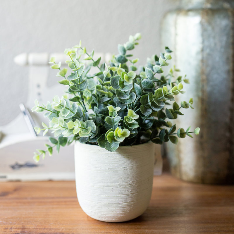 10'' Faux Eucalyptus Plant in Ceramic Planter