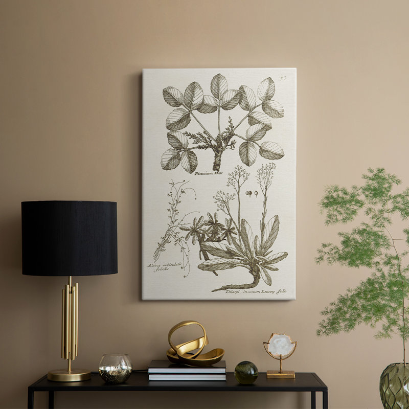 Sépia Botanical Journal VI - galerie sur mesure Cavas, H 18 po x l 12 po