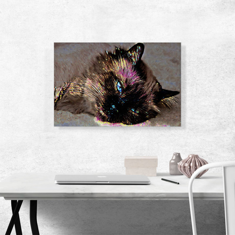 Himalayan Cat Breed Sparkling Face - Reproduction d'art sur toile tendue, H 18 po x l 26 po x P 0,75 po