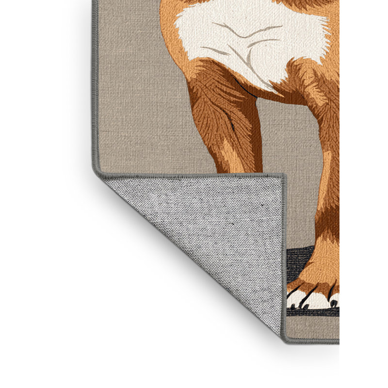  Tapis lavable pour chien Tosa, Rectangulaire 3 pi x 5 pi