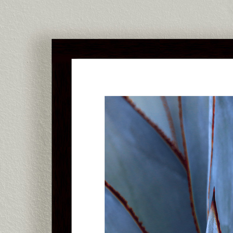 Nature Inspired Blue Agave Abstract by  - Picture Frame Graphic Art on Paper, 32" H x 48" W x 1.125" D, Black