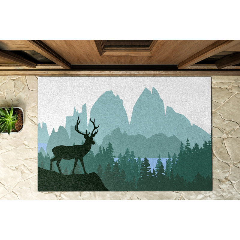 Non-Slip Outdoor Doormat