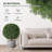 24 Inch Artificial Topiary Boxwood Ball Trees