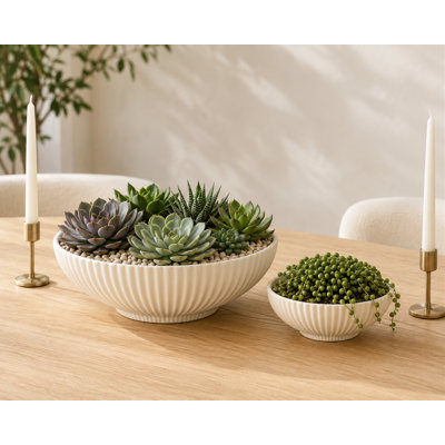 Ensemble de pots à fleurs ronds en céramique Plisse