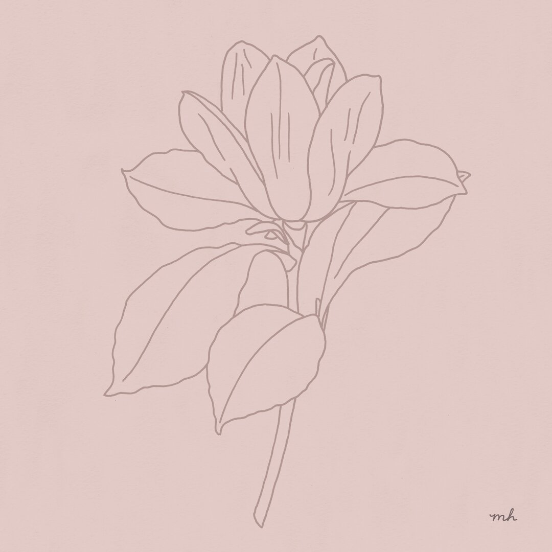 Leinwandbild Magnolia Line Drawing von Moira Hershey