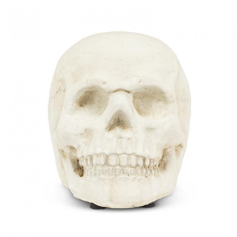 Small Skull