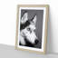 Husky Dog in Abstract - Framed Print-55769210-55769215
