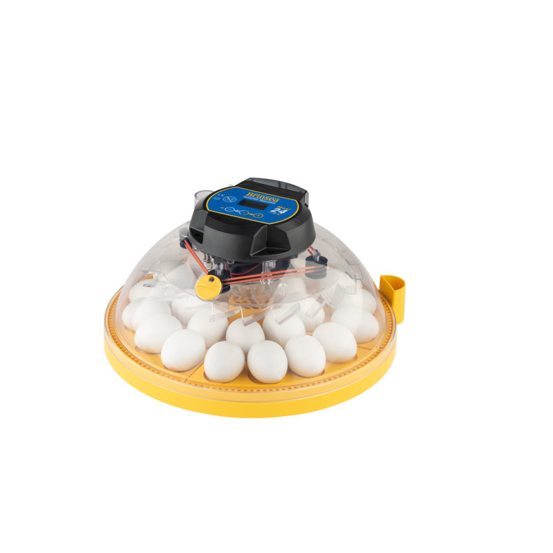 Maxi 24 EX Automatic Yellow and Clear Egg Incubator