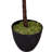 66 " H Faux Fiddle Leaf Fig Tree in Plastic Pot