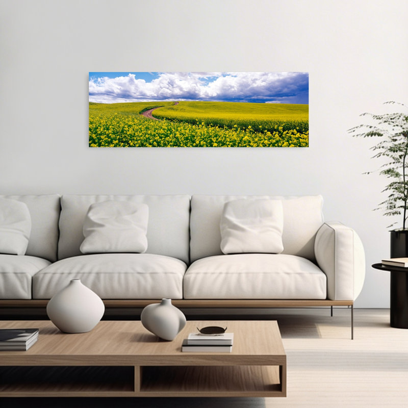 Road Canola Field Washington State USA by Terry Eggers - Wrapped Canvas Panoramic Print, 40.64 cm H x 121.92 cm W