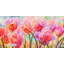 Tulips In Wonderland by Cynthia Ann - Wrapped Canvas Print-1683109752