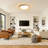 Round LED Flush Mount -19.68 Inch-655534277