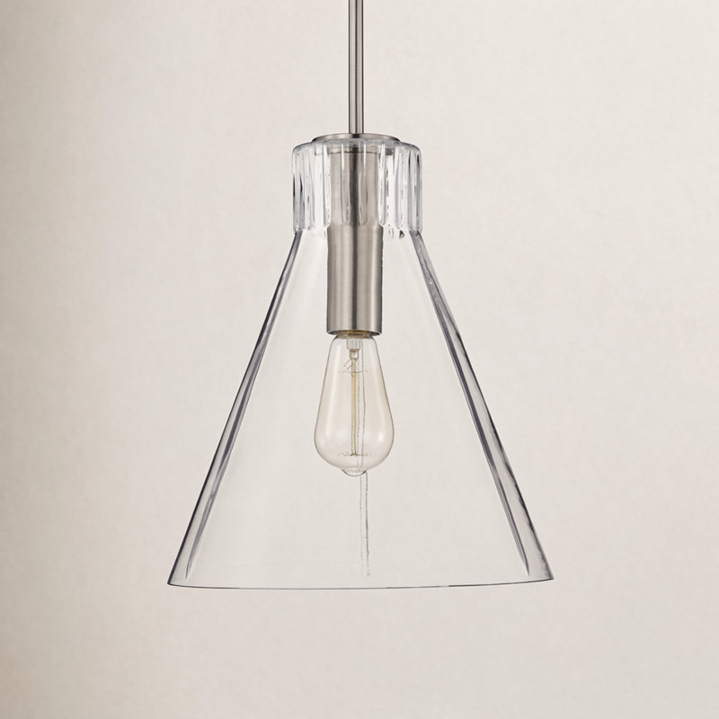 Anine Gianna - 1 Light Pendant  - Clear Glass, 14" H x 12" W x 12" D, Brushed Nickel