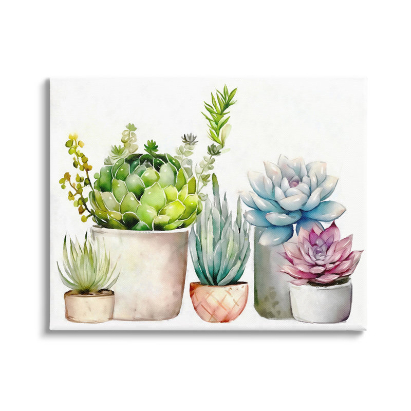 "Au-769-Canvas, plantes grasses, nature florale sur toile" par Ziwei Li, impression, H 30 po x l 40 po x P 1,5 po