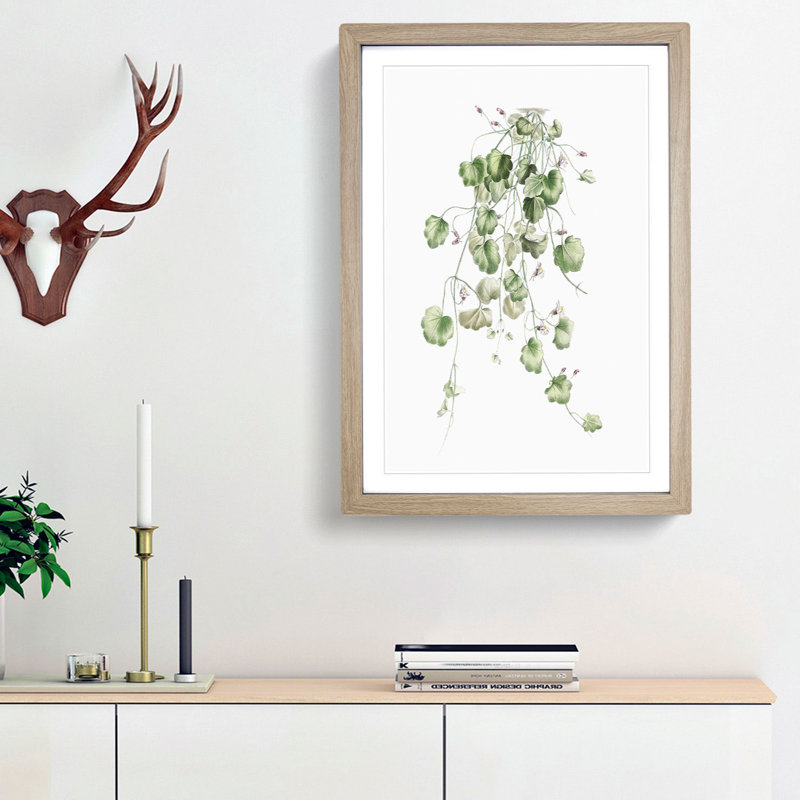 Kenilworth Ivy Flowers by Pierre-Joseph Redoute - Picture Frame Graphic Art Print, Oak Framed, 65cm H x 48cm W x 2cm D