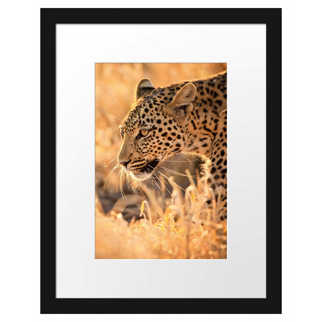 Gerahmtes Poster Jagender Leopard