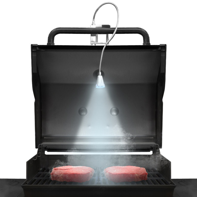 Lumière de barbecue flexible