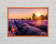 Sunflare Over The Lavender - Single Picture Frame Print