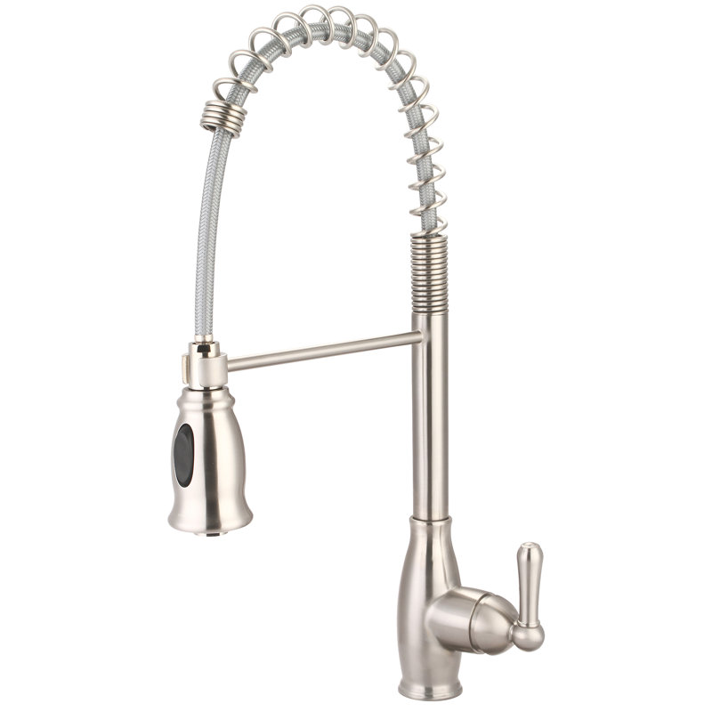 Olympia Faucets Accent Pull Out Kitchen Faucet, Brushed Nickel