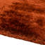 Plush Deep Pile Shaggy Rust Rug-25470047