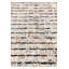 Tapis Isidore
