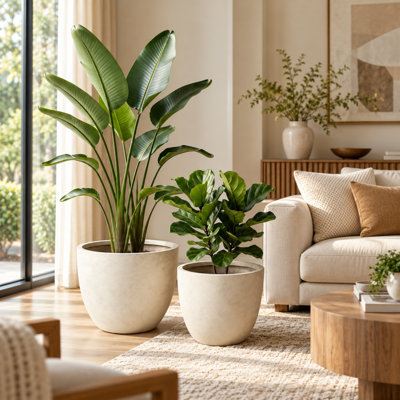 Ensemble de 2 pots à fleurs ronds en béton avec trous de drainage