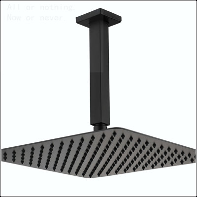 Pomme de douche 16 po noir mat