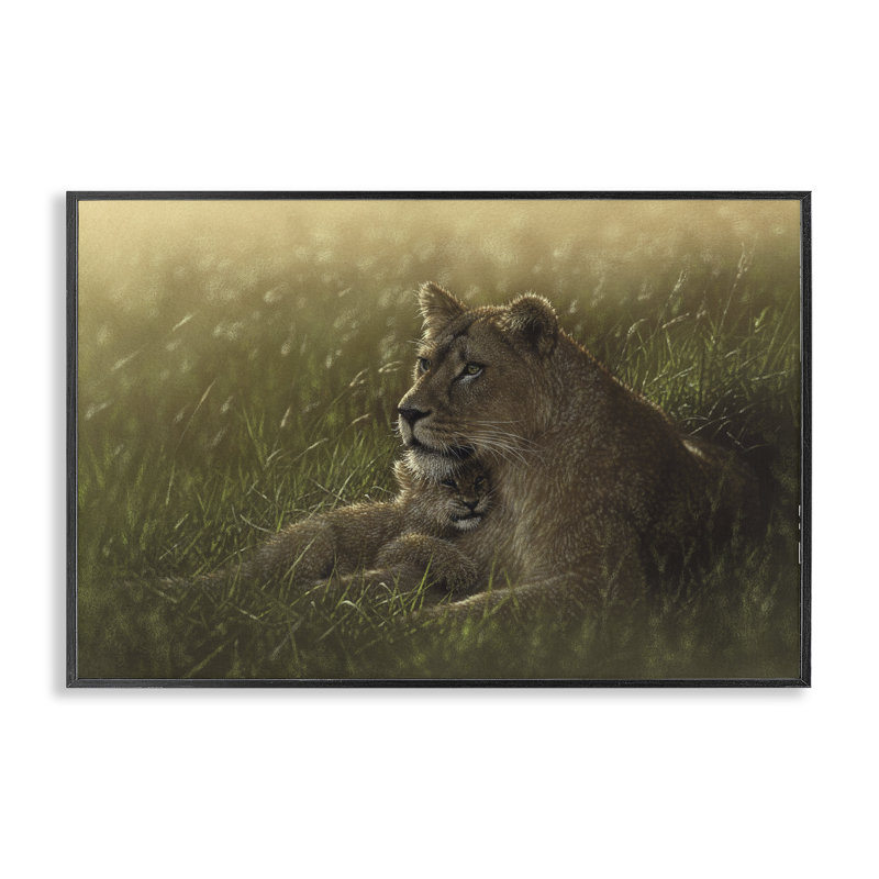 «Safe Haven Lion Cub», estampe numérique, conception par Collin Bogle, H 12 po x l 18 po, Giclée encadrée noir minuit