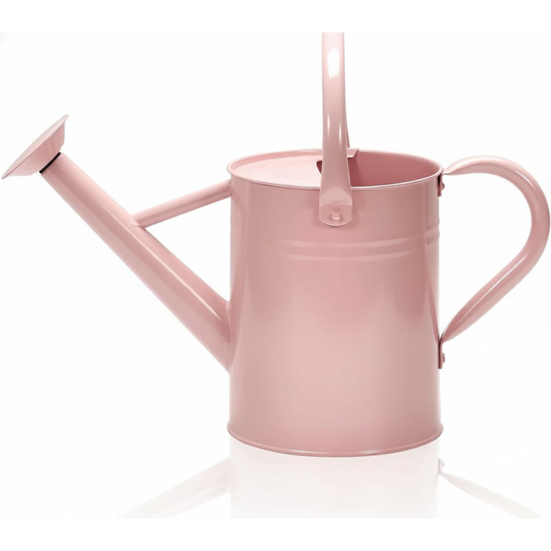 Metal Watering Can with Removable Spout, Galvanized 1 gal., Perfect for Indoor & Outdoor Use (Yellow), Pink