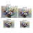 Graceful Arrangement-1457878674