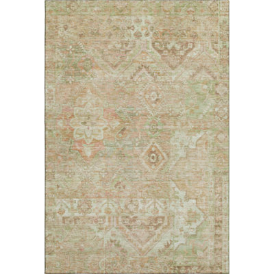 Premium Machine Washable Varasteh AMF1664 Global Rug