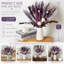 Bouquet de fleurs séchées bohème violettes - 43 cm (17 pouces) d'herbes de la pampa pour décoration intérieure ou centre de table de mariage